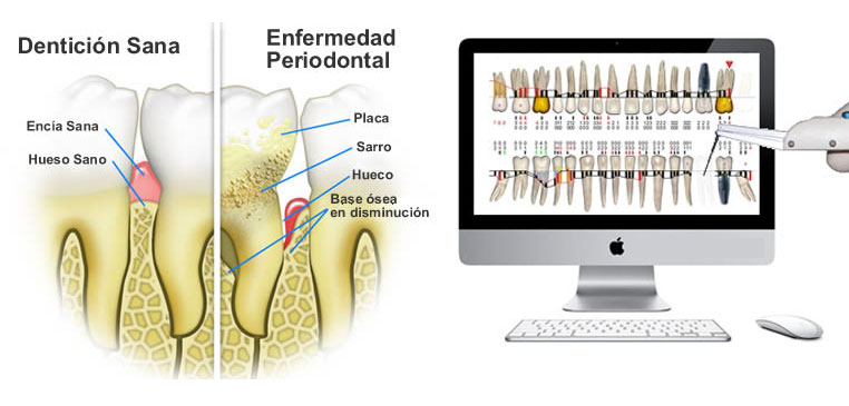 Cultivos microbiológicos en Gijon